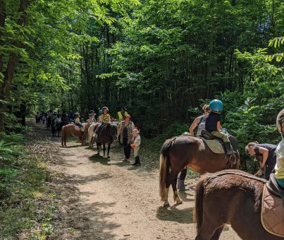 Sortie Poney pour les maternelles