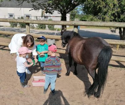 Sortie Poney pour les maternelles