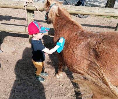 Sortie Poney pour les maternelles